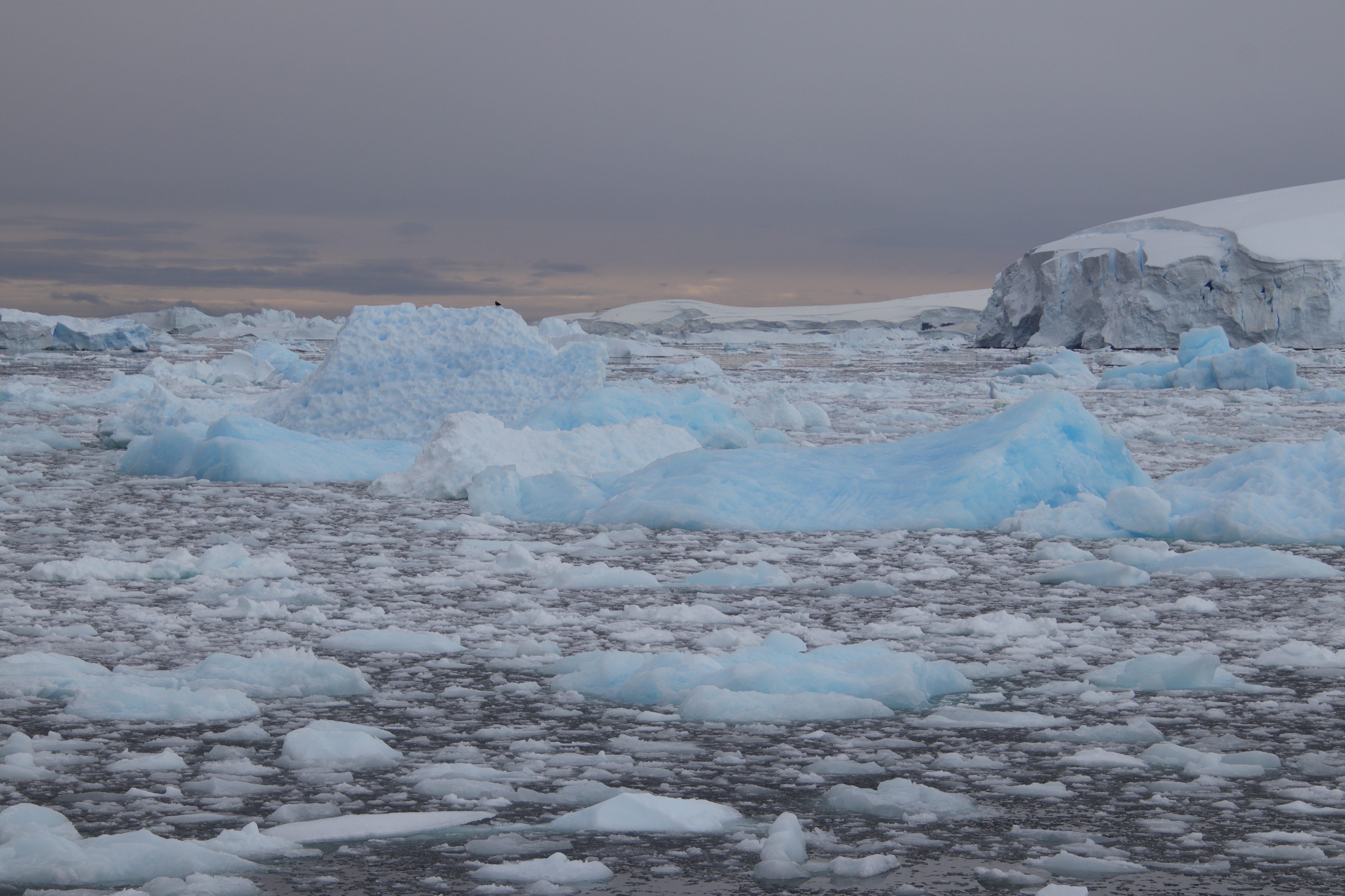 Blue Glacial ice