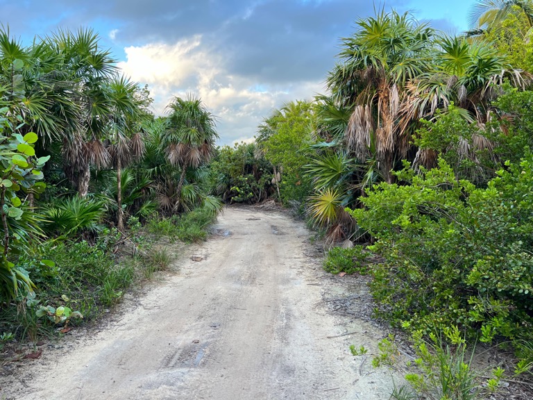 Running Trail