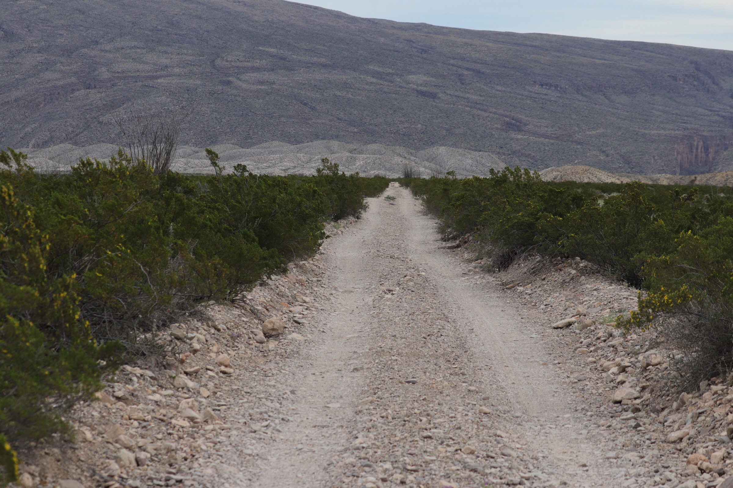 Back country road