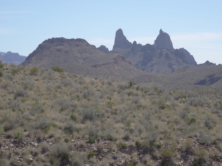 Mule Ears