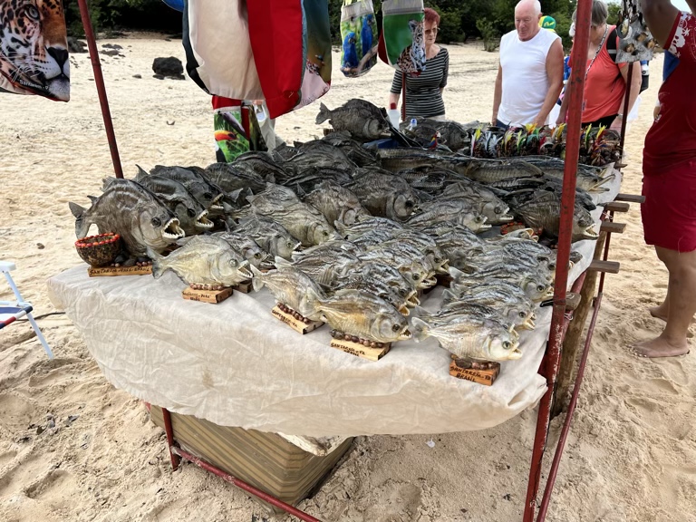 Mounted Piranhas