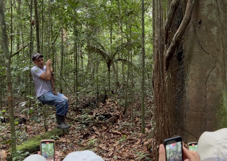 Swinging on a vine