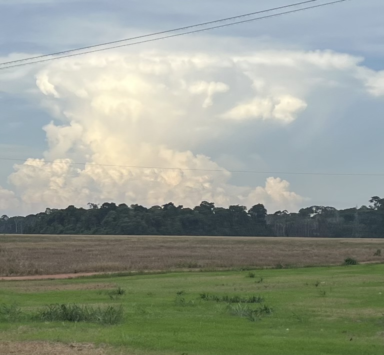 Cumulonimbus cloud