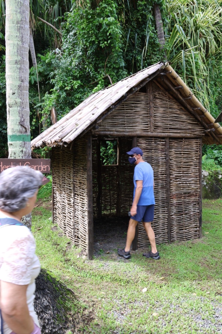 Native Hut