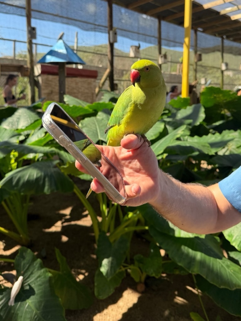 Checking out the photo