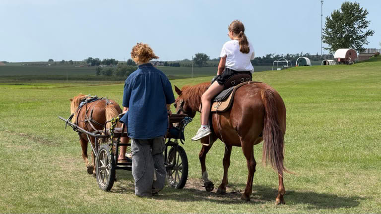 Pony rides