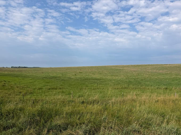 Wilder homestead land