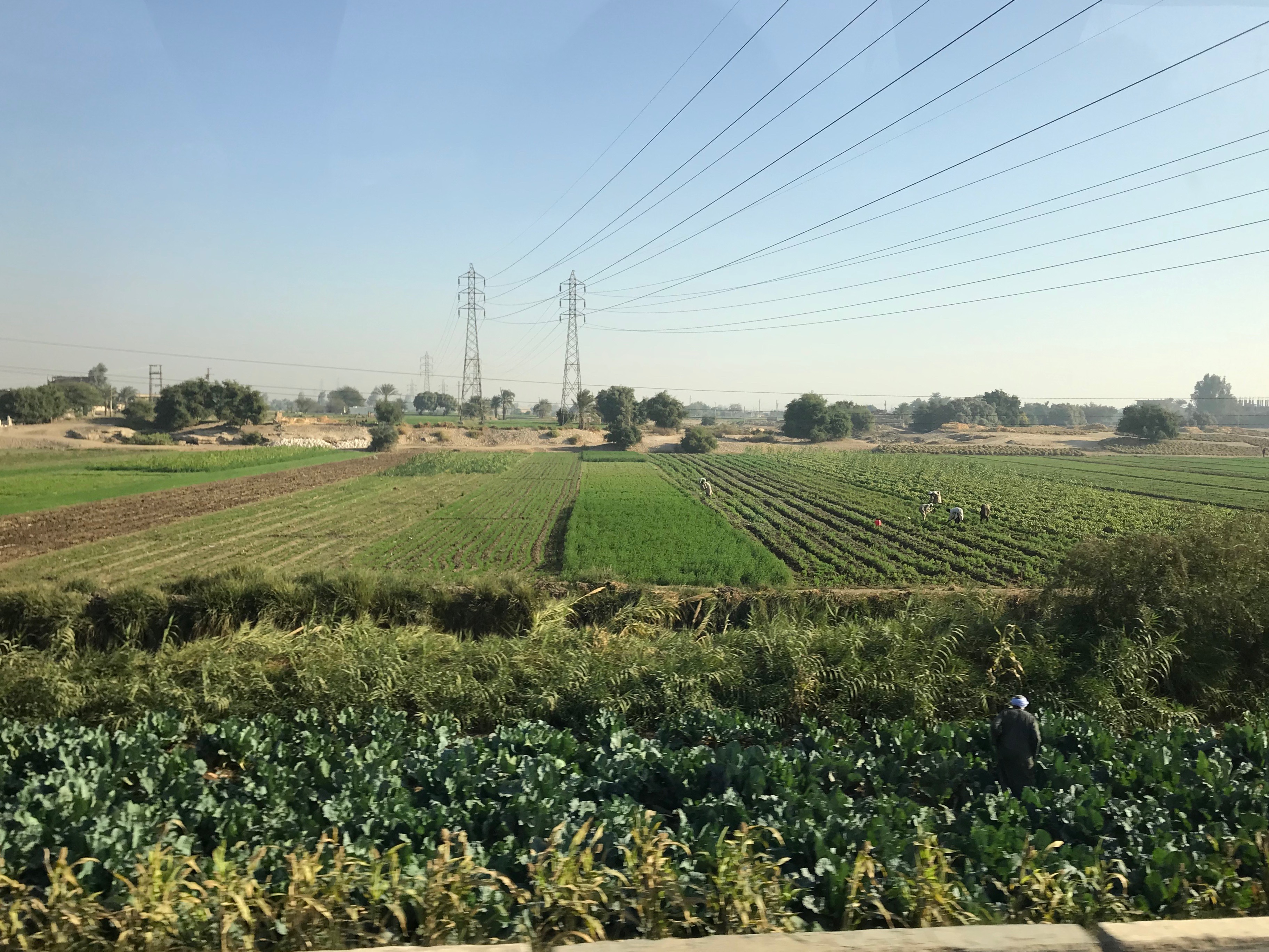 Working by hand in field