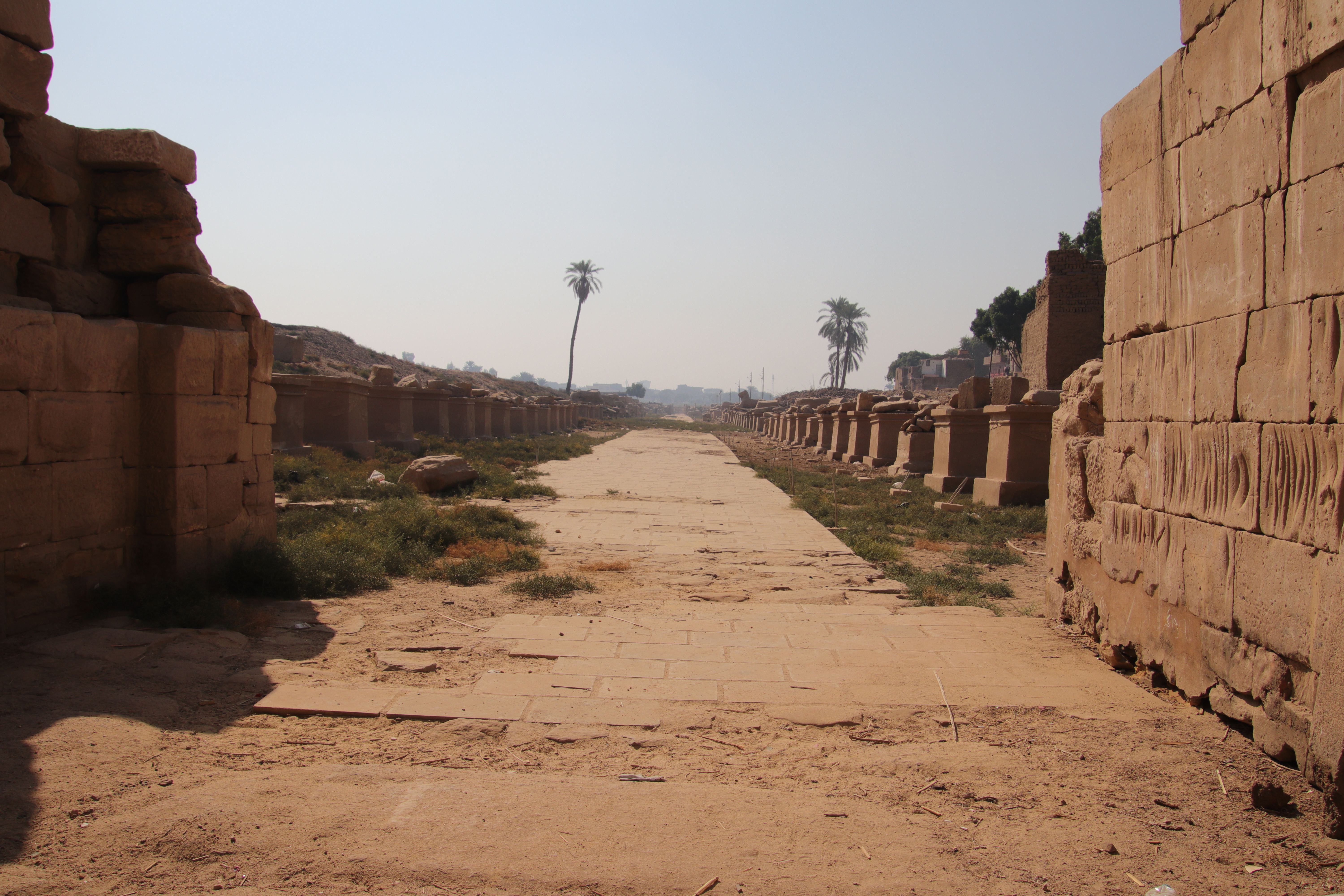 Avenue of the Sphinxes