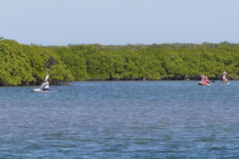 A different group kayaking