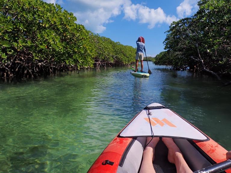 Kayaking in a Mangrove Tunnel