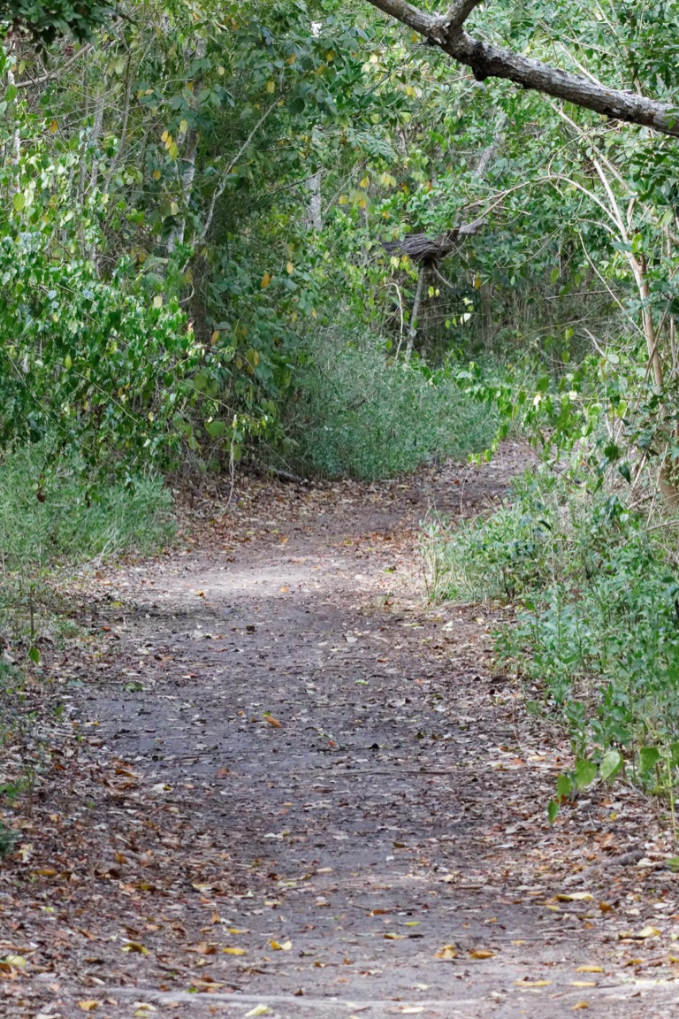 Snake Bight trail