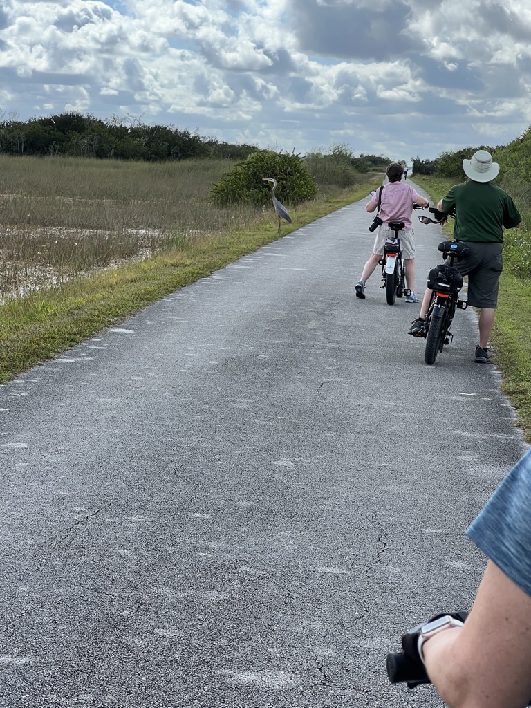 Trail with Great Blue Heron