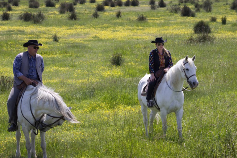 Horses with riders