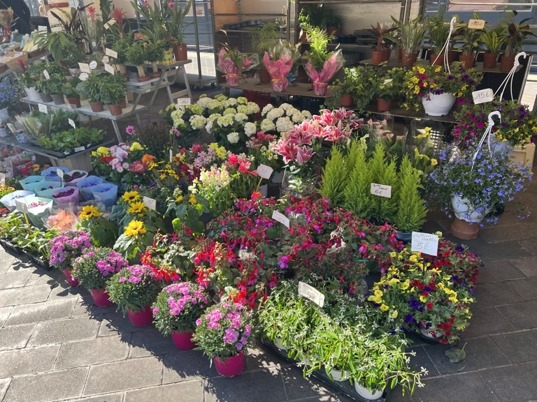 Flowers in the Market