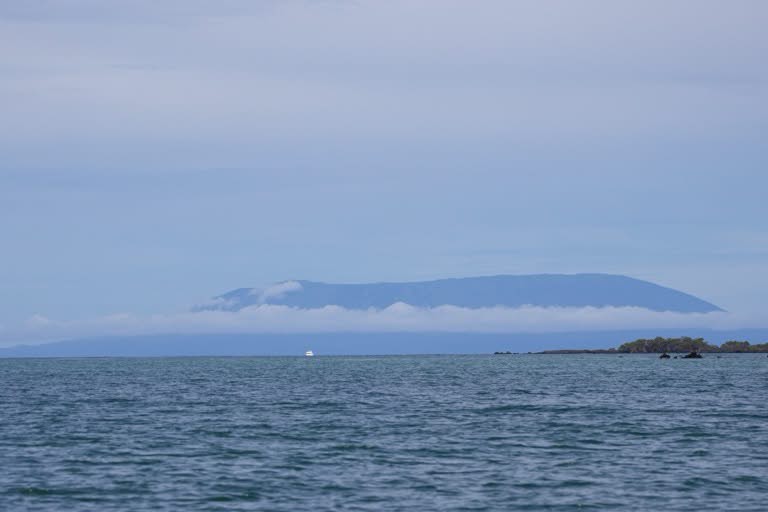 Sierra Negra volcano