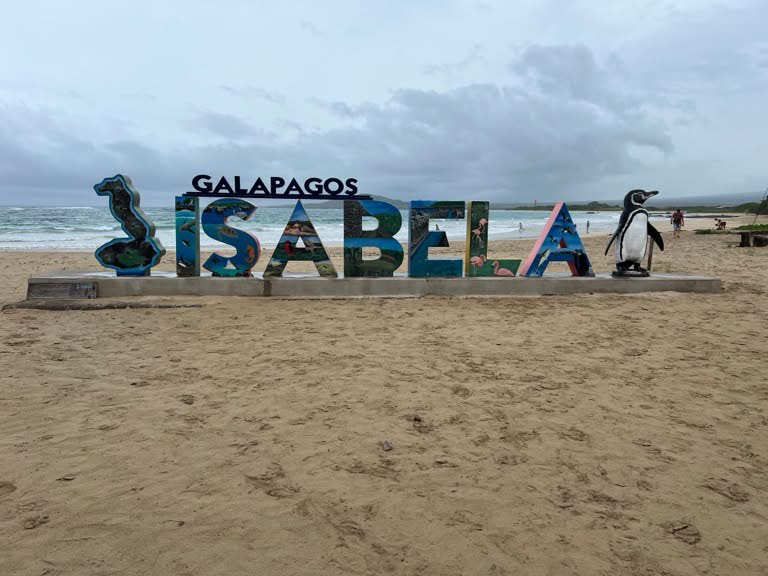 Isabella sign