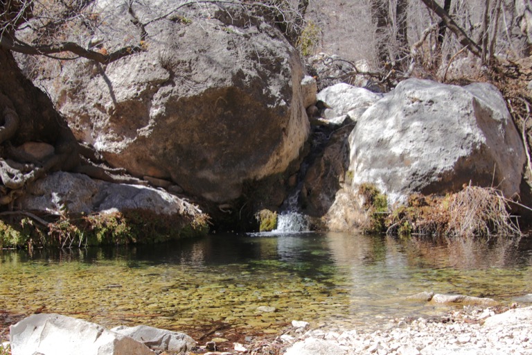 Smith Spring