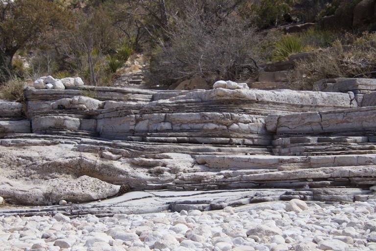 Layered limestone texture