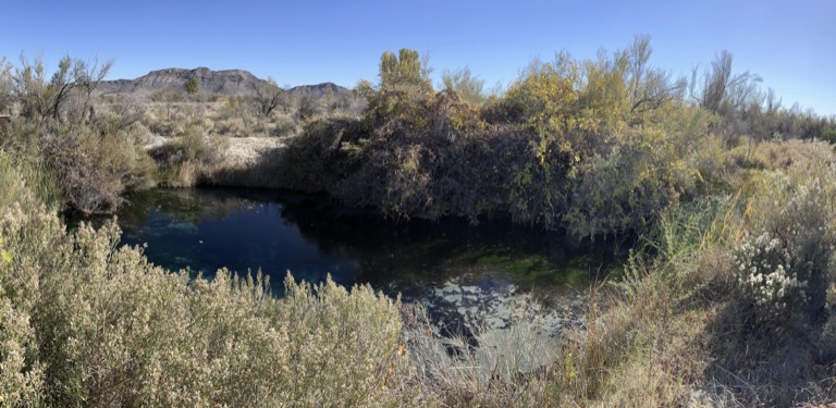 Pond on the meadows