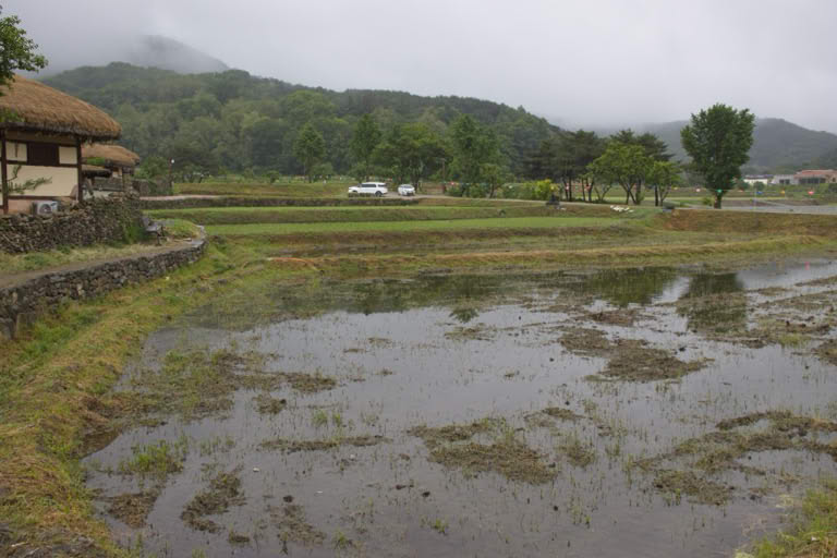 Fields around the village
