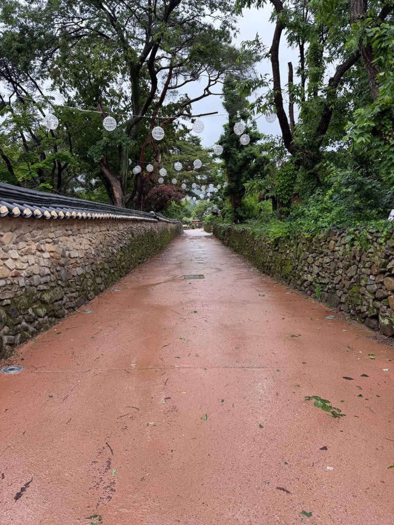 lane in the village