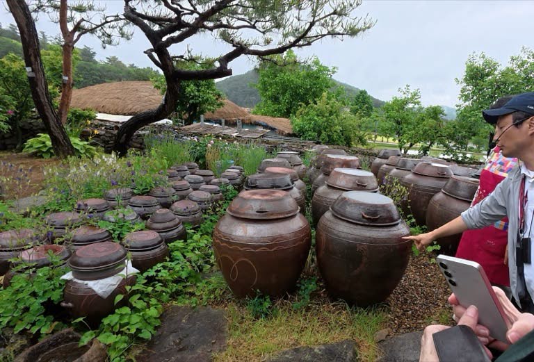 Gochujang ferments in clay pots