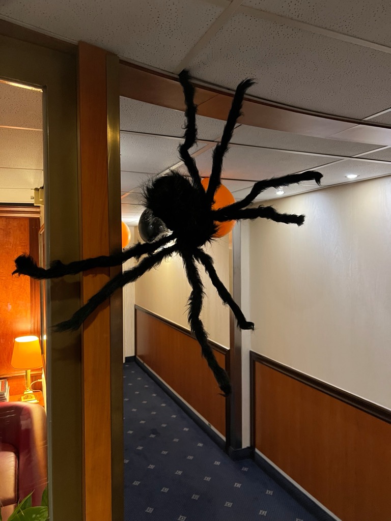 Halloween Decorations