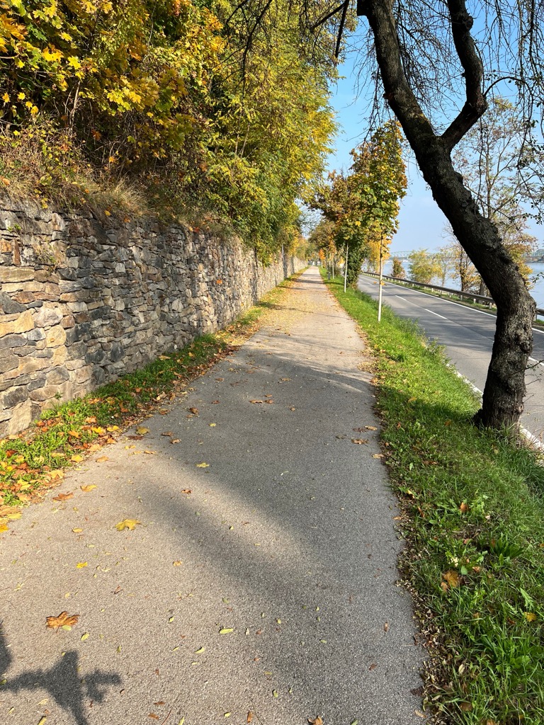 Bike Path