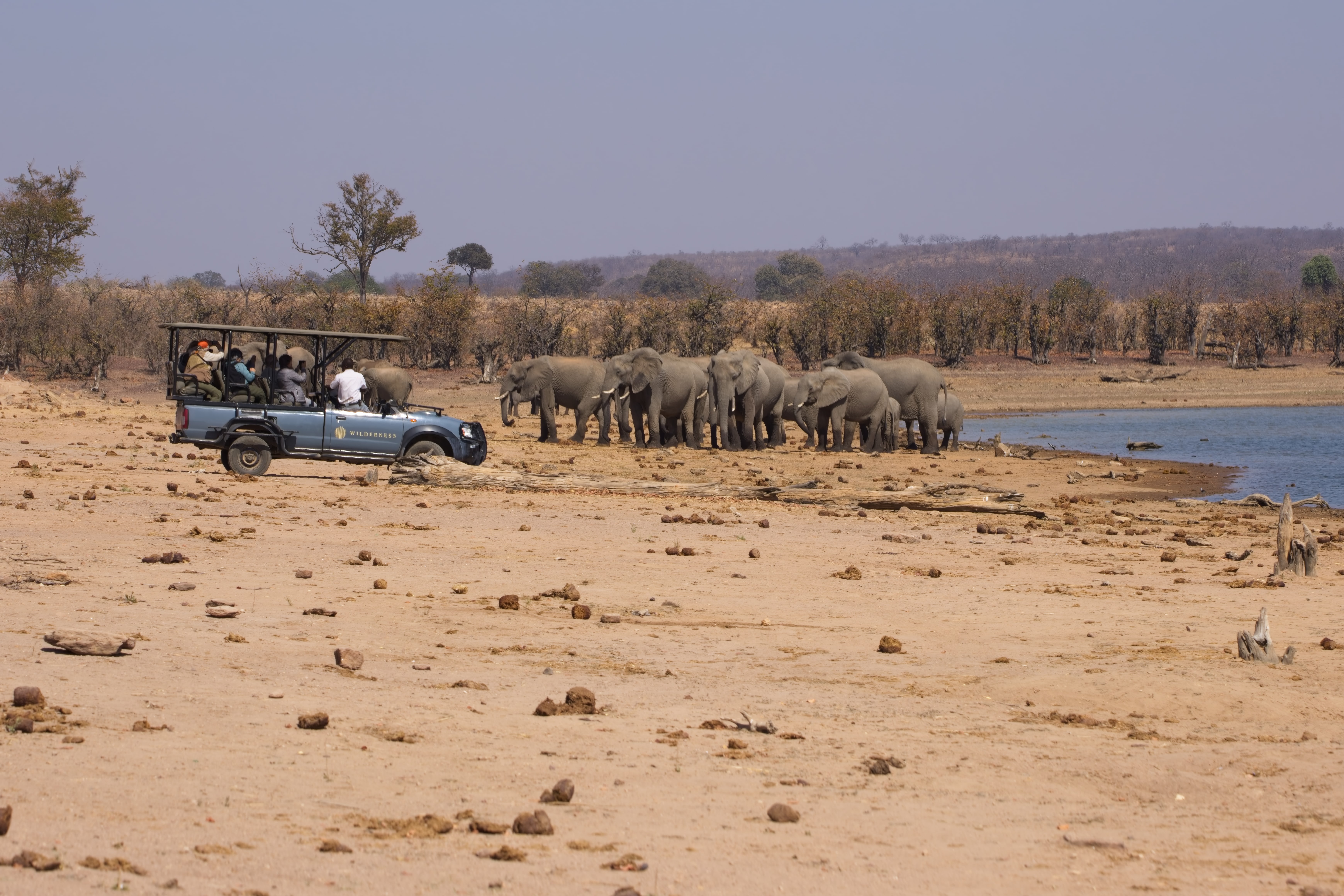 Viewing Elephants