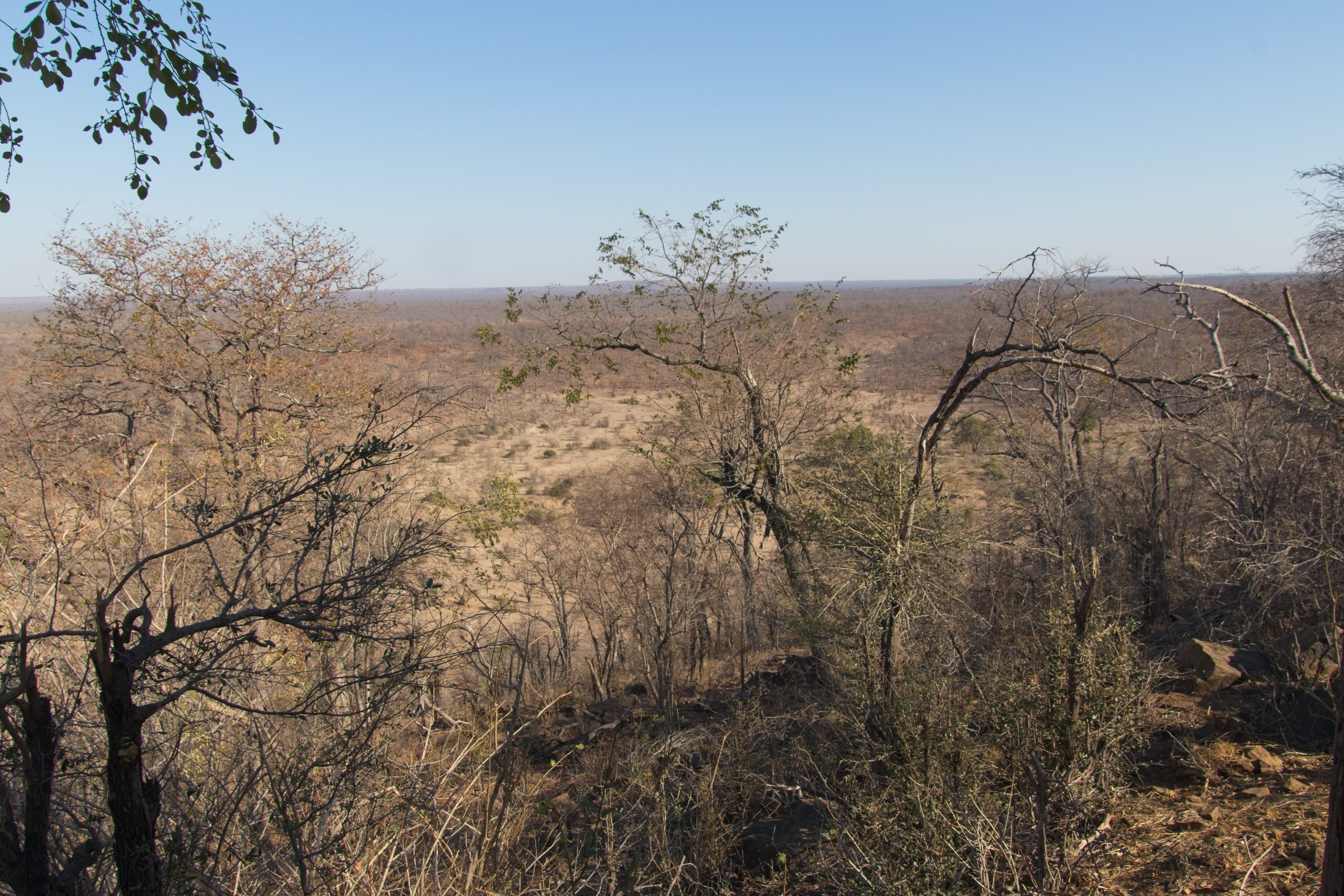 Overlooking the valley