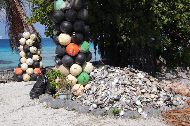 Discarded shells from Pearl farming