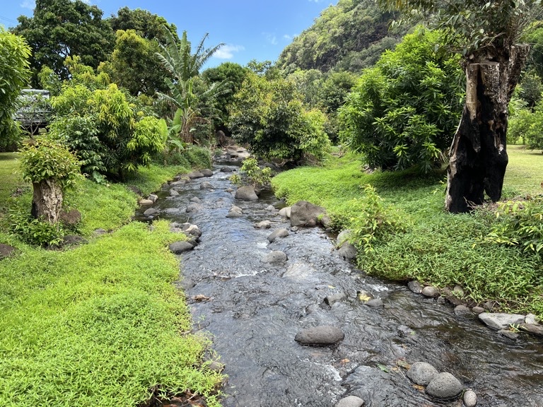 Stream
