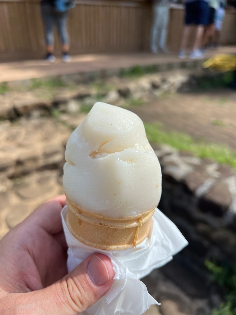 Soursop ice cream