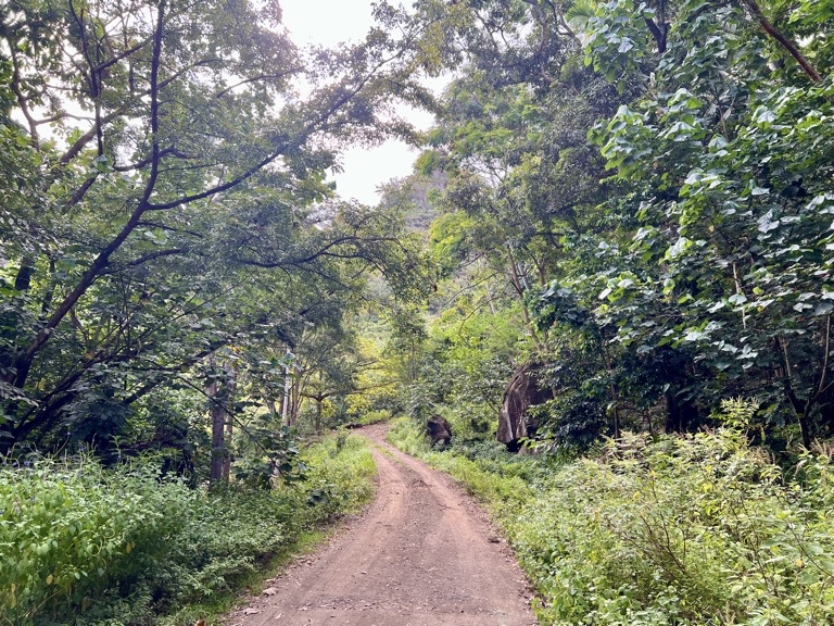 Dirt road/path