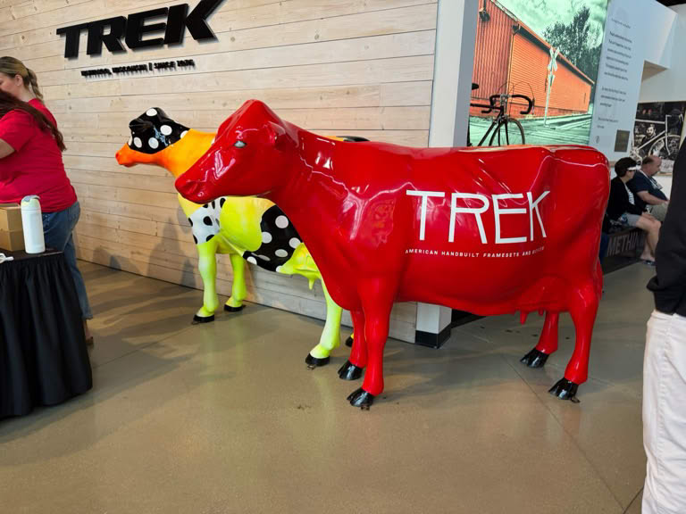 Cows