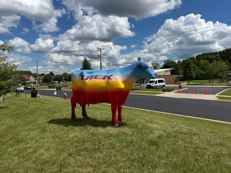 More cows at Trek Headquarters