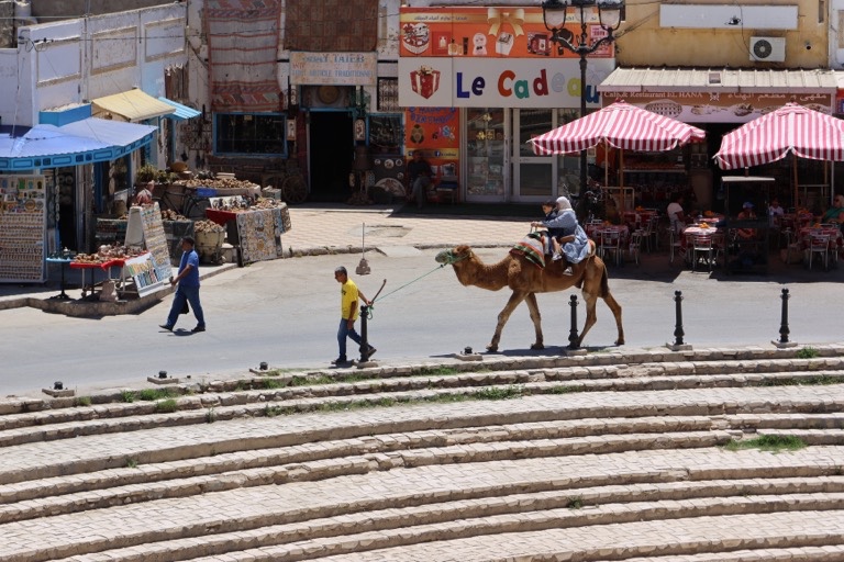 Camel Ride