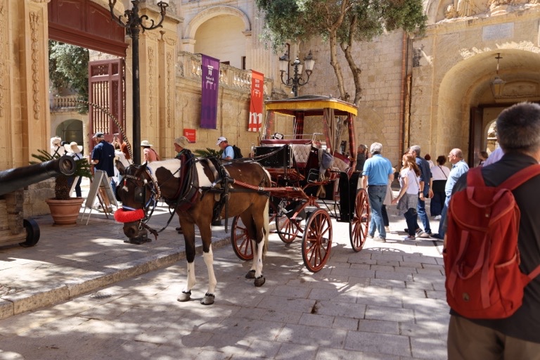 Horse drawn coach