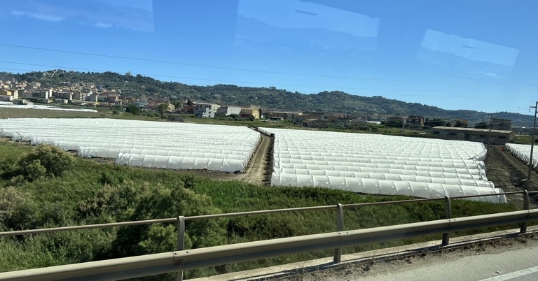 Greenhouses