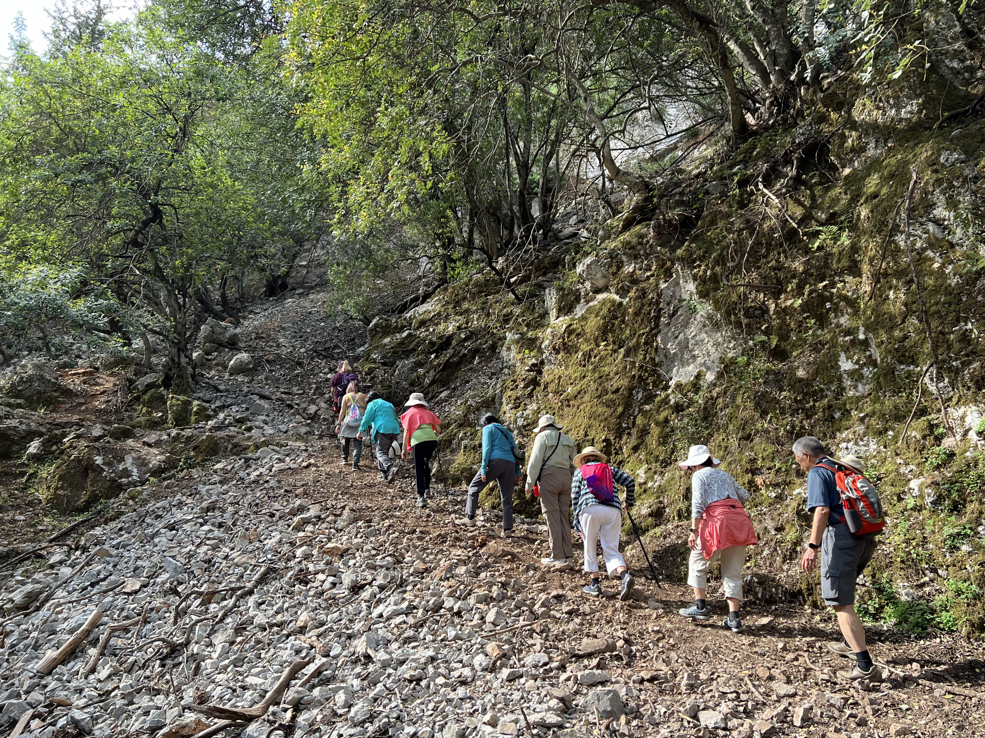 Steep Hiking Trail